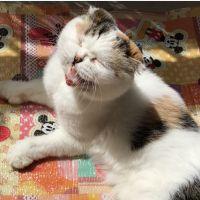 うおっかりもん 会員画像