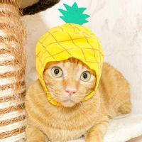 ちょらまる 会員画像