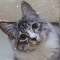 フーアル 会員画像