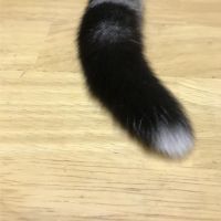 おはぎどんぐり 会員画像