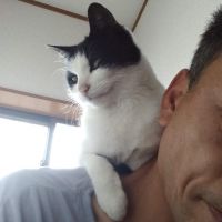 会員画像