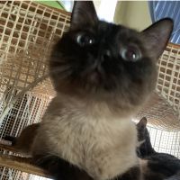会員画像