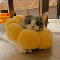 会員画像