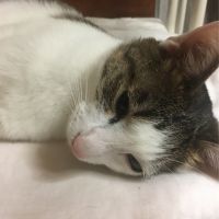 三日月(みかづき) 会員画像