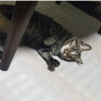 会員画像