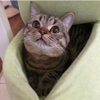 ジルお 会員画像