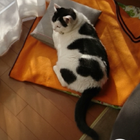 たもえさん