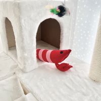 もっぴー2525 会員画像