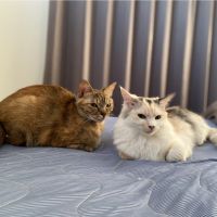 きくまな 会員画像