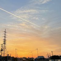 にゃんふ 会員画像