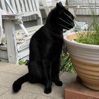 ろくよん 会員画像