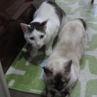 みずし~ 会員画像