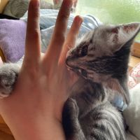 あつきんさん