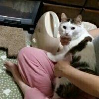 なこさん 会員画像