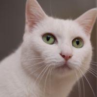 fusji57 会員画像