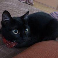 ジュン1208 会員画像