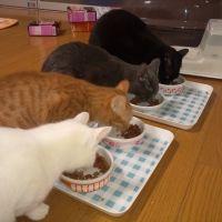 こりゆみ 会員画像