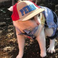 おうちどこ 会員画像