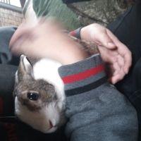 マシュマロ08 会員画像