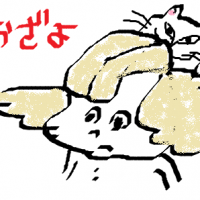 おざよ 会員画像