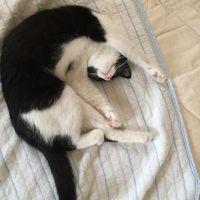 会員画像