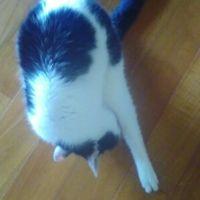 こっぺ 会員画像