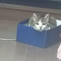 会員画像