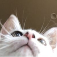 会員画像