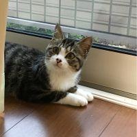 ぐmi 会員画像