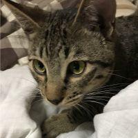 えみっくま3さん