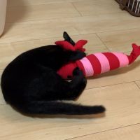 会員画像