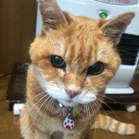 ケンケン26 会員画像