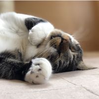 優しい手小さい手 会員画像