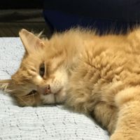会員画像