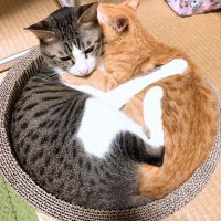 ミカ/ 0389 会員画像