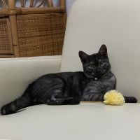 ちあき23 会員画像