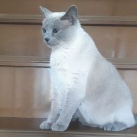 美和。 会員画像