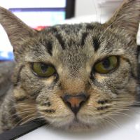 mikan244 会員画像