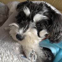 会員画像