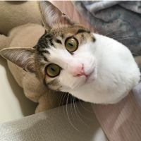 うぐ 会員画像