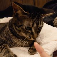 るのママ 会員画像