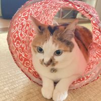 会員画像