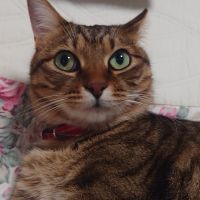 会員画像