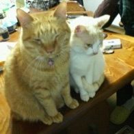 まつたろー 会員画像