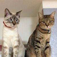 みんゆー 会員画像