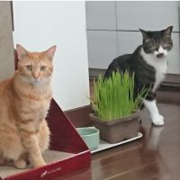 *yukiko* 会員画像