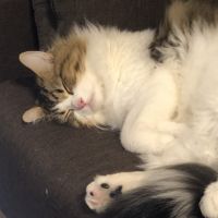 すーぴ 会員画像