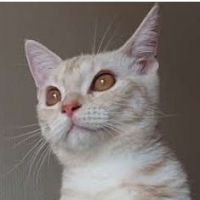 ちぃ0125 会員画像