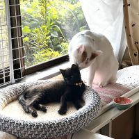 Runa.Rune 会員画像