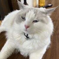 ぴすたちうおさん
